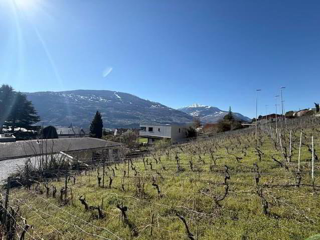 Terrain null pièces à acheter à Sion - image 1/2