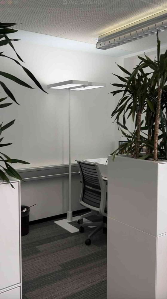 Bureau & Commerce 1 pièces à louer à Zurigo - image 1/4
