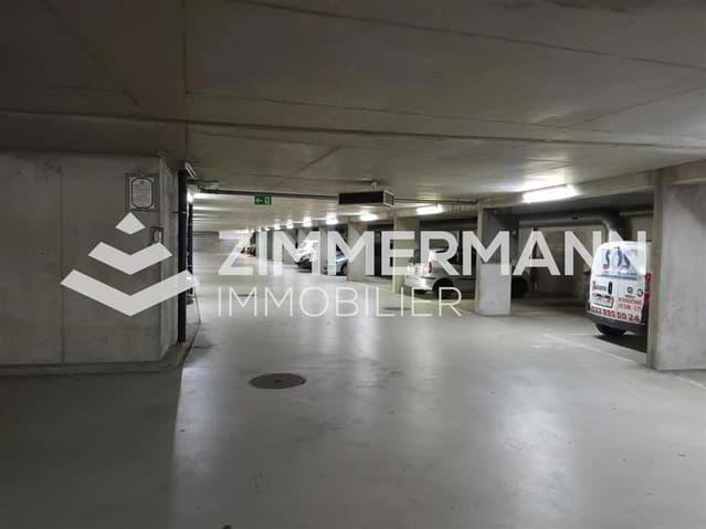 Parcheggio, garage di null locali in affitto a Petit-Lancy - immagine 1/3