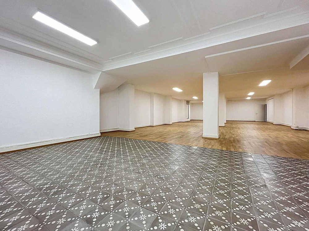 null rooms Office & Commercial for rent in Vevey - image 1/12