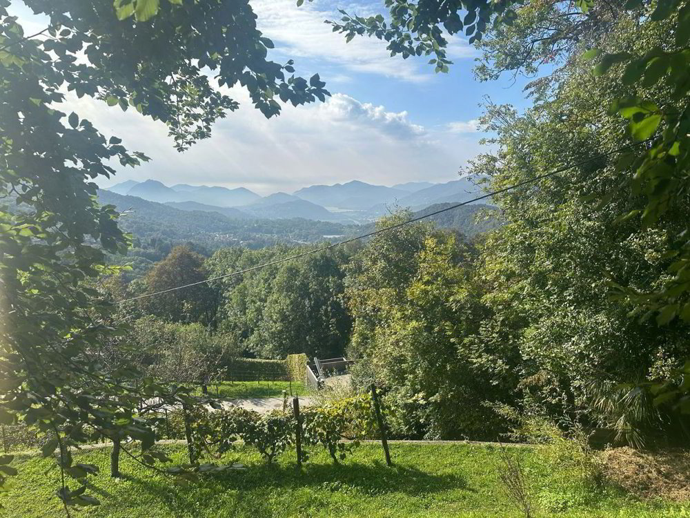 Terreno di null locali in vendita a Bigorio - immagine 1/3