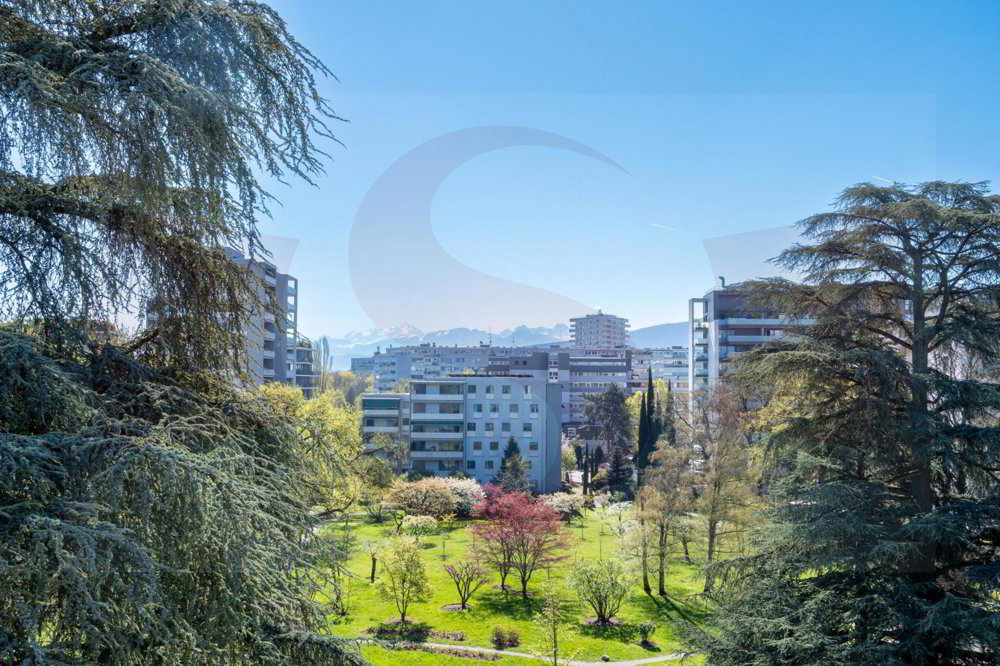 Appartamento di 5 locali in affitto a Cologny - immagine 1/10