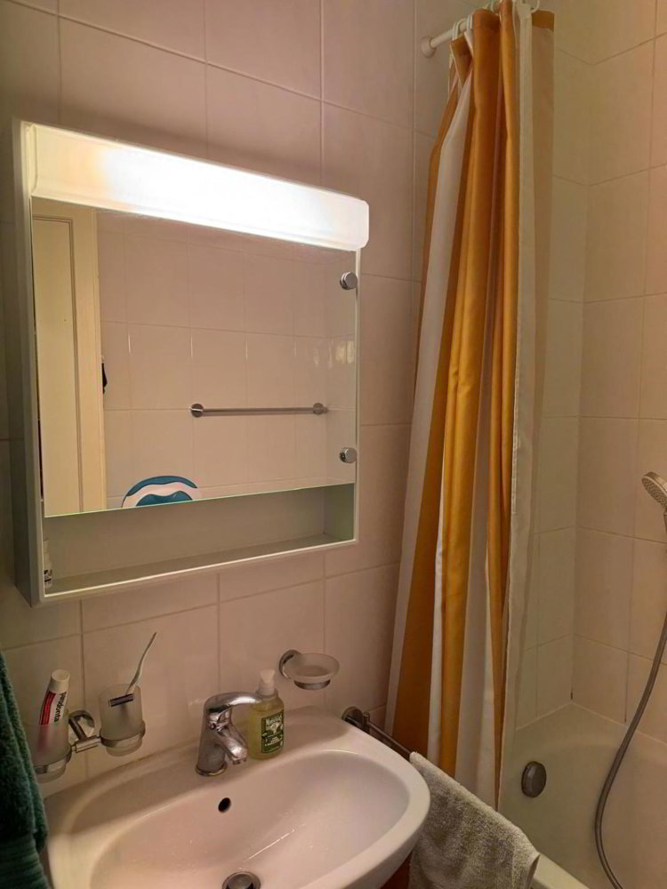 Appartement 3 pièces à louer à Genève - image 1/9