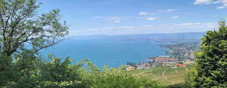 7.5 rooms House to buy in Aran - image 1/2