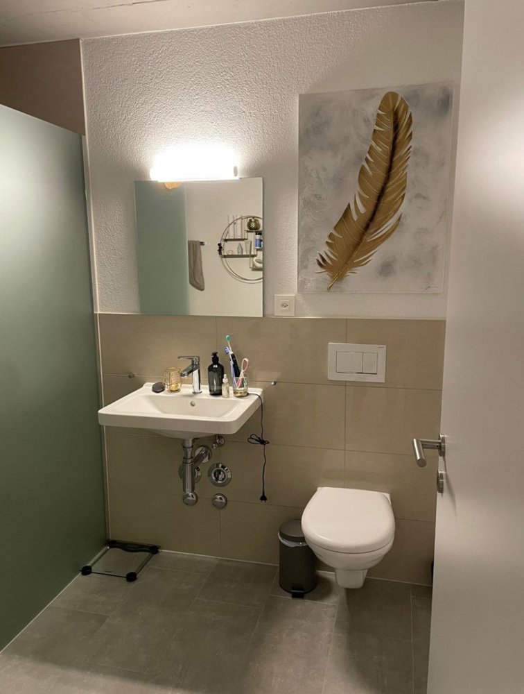 Wohnung – Heerbrugg - Ansicht 5