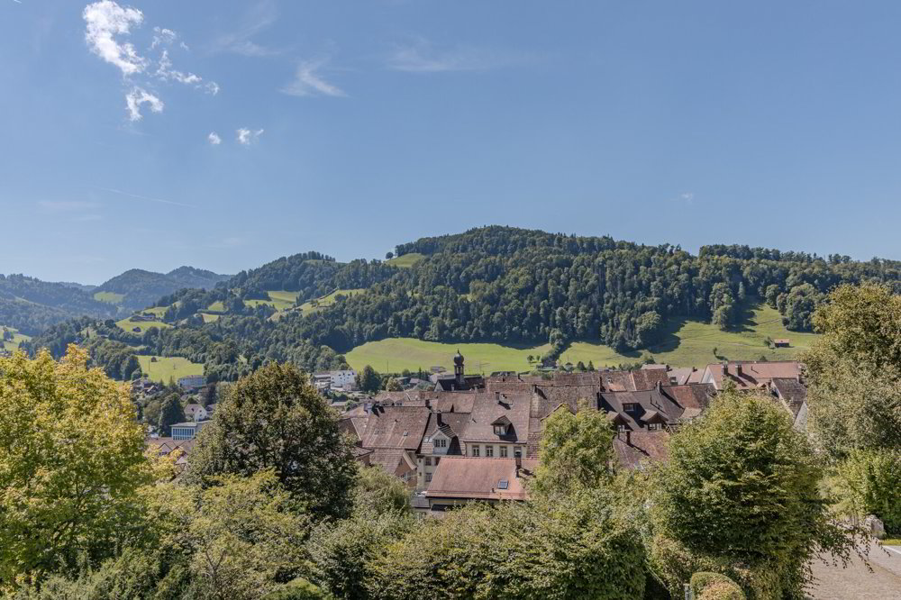 Maison null pièces à acheter à Lichtensteig - image 1/12