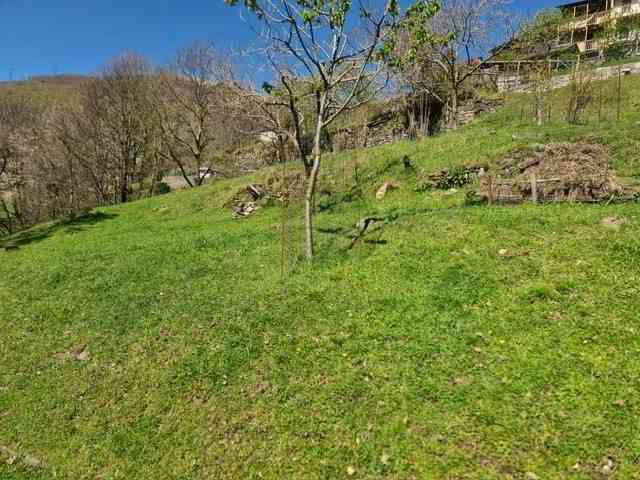 Casa di 3 locali in vendita a Indemini - immagine 1/13