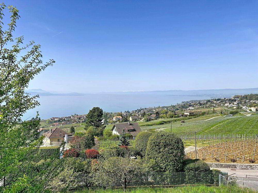 3.5 Zimmer Haus zu vermieten in Lutry - Bild 1/14