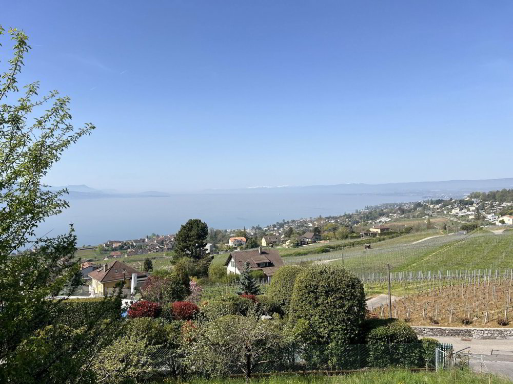 Coup de coeur entre lac et vignobles, en toute intimité - Ansicht 3