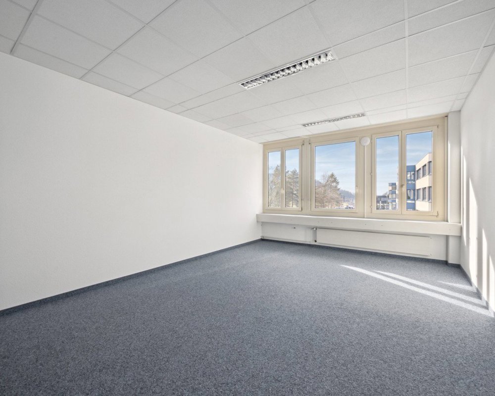 null rooms Office & Commercial for rent in Baar - image 1/4