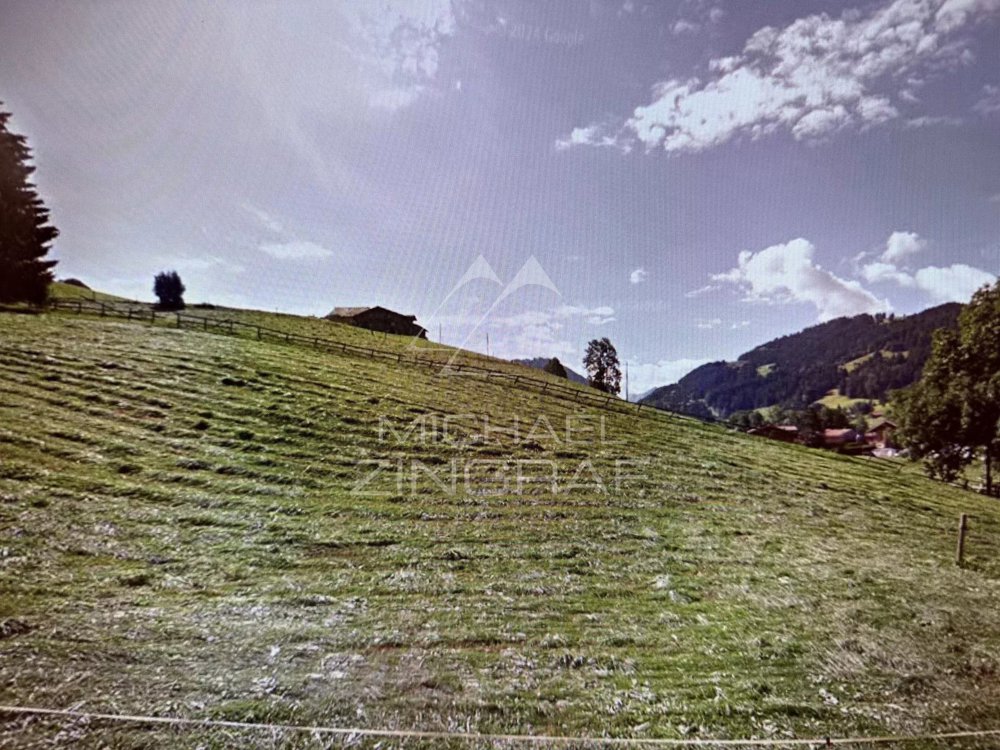 Appartamento di 2 locali in affitto a Saanen - immagine 1/5