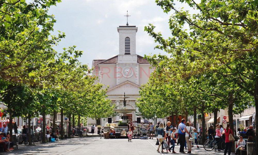 Maison 8 pièces à louer à Carouge GE - image 1/1