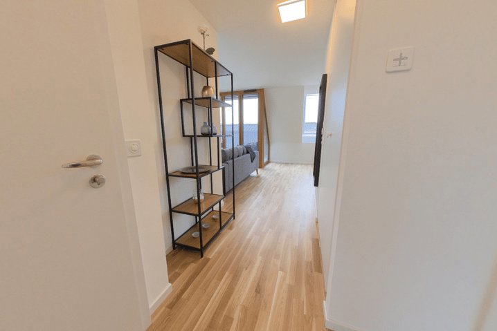 Appartamento di 2 locali in affitto a Lausanne - immagine 1/6