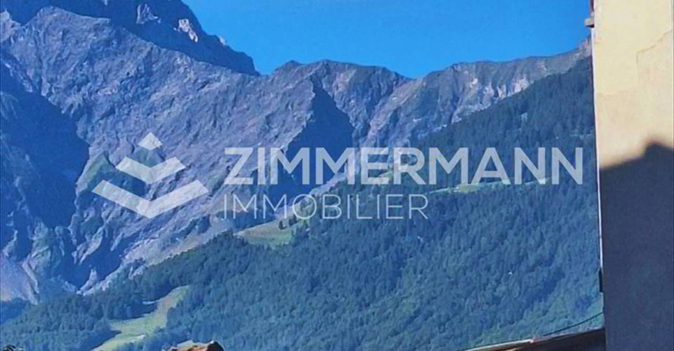 Ufficio & Commercio di null locali in affitto a Bex - immagine 1/11