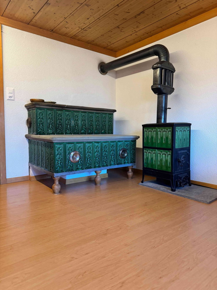 Appartamento di 4.5 locali in affitto a Hofstetten b. Brienz - immagine 1/13