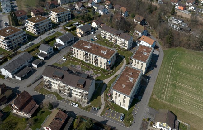 Appartamento di 2 locali in affitto a Roggwil BE - immagine 1/1