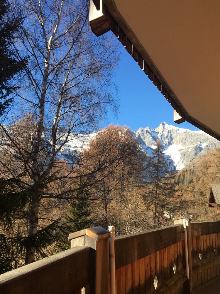 Appartamento di 3 locali in affitto a Bellwald - immagine 1/6