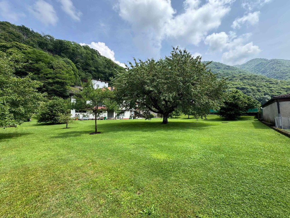 Terreno di null locali in vendita a Camignolo - immagine 1/5