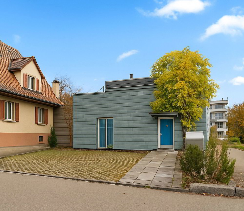 6.5 rooms House to buy in Oberwil BL - image 1/16