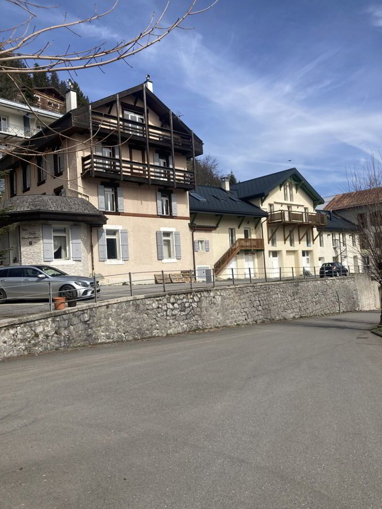 Maison null pièces à acheter à Leysin - image 1/9