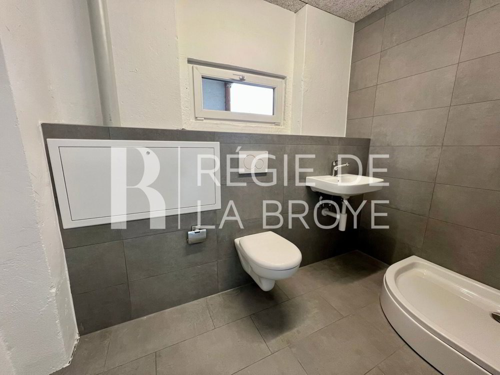 Ufficio & Commercio di null locali in affitto a Bussy FR - immagine 1/7