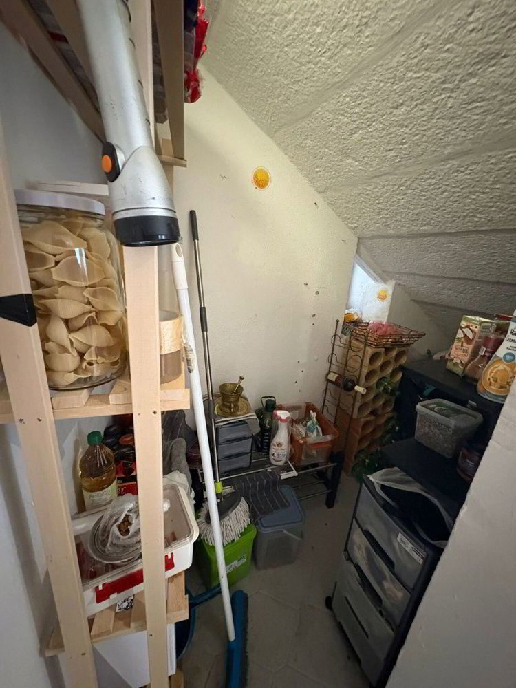 4.5 Zimmer Wohnung zu vermieten in Montmollin - Bild 1/9