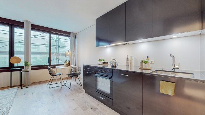1 rooms Apartment for rent in Basel - image 1/1