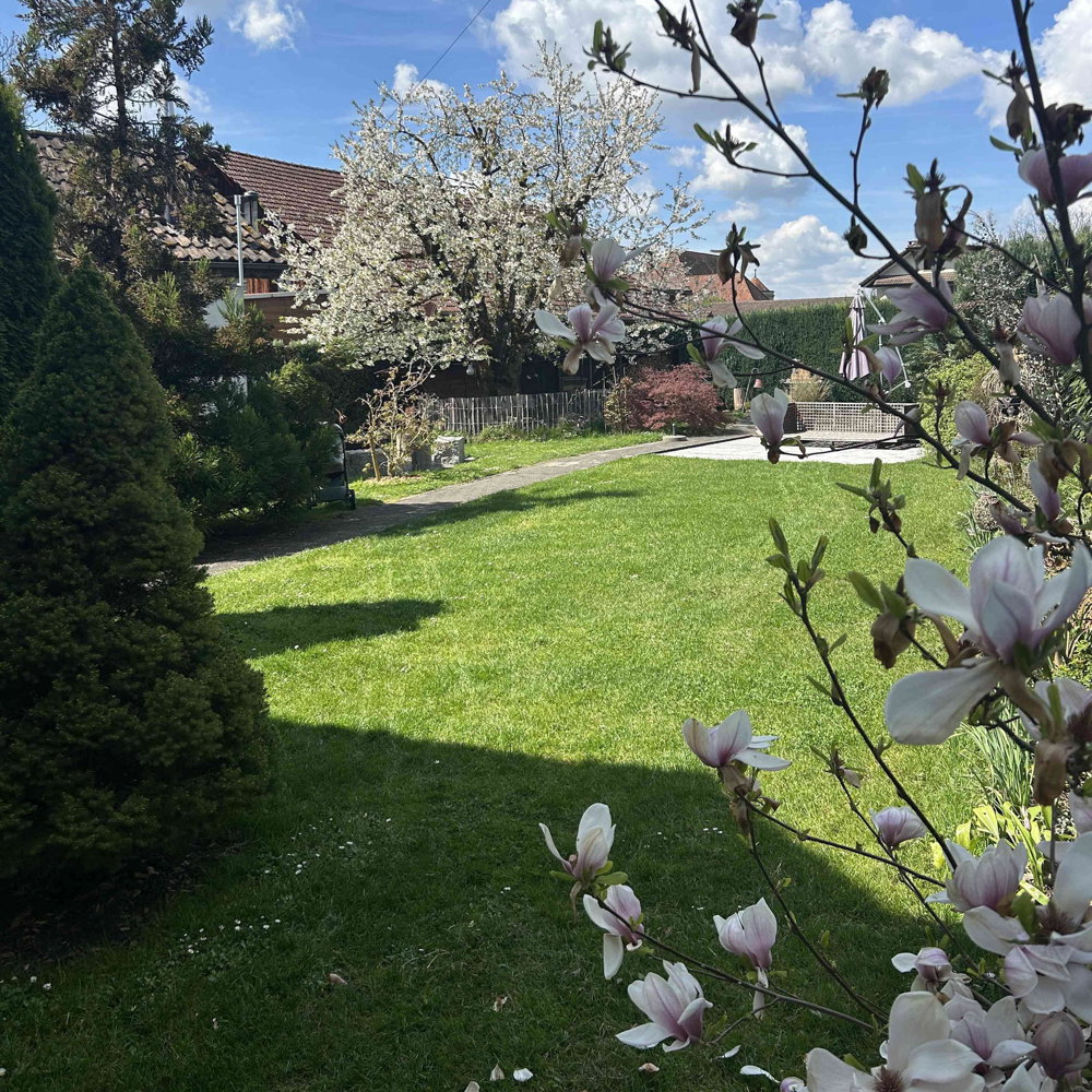 5.5 rooms House to buy in Zetzwil - image 1/13