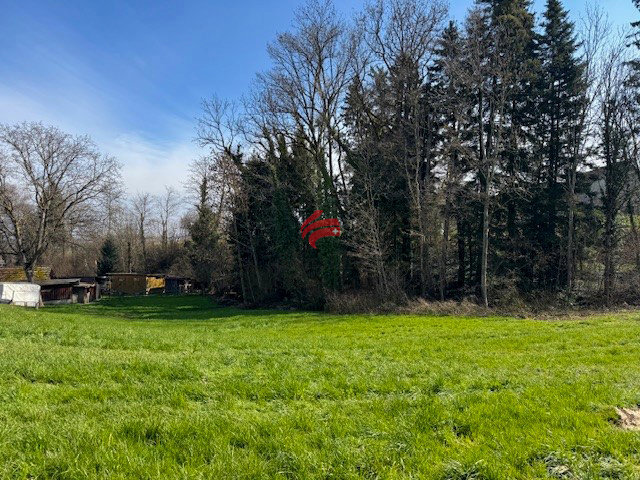 Terreno di null locali in vendita a Berg SG - immagine 1/6