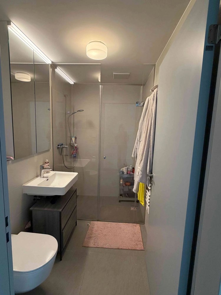 4.5 Zimmer Wohnung zu vermieten in Boniswil - Bild 1/11