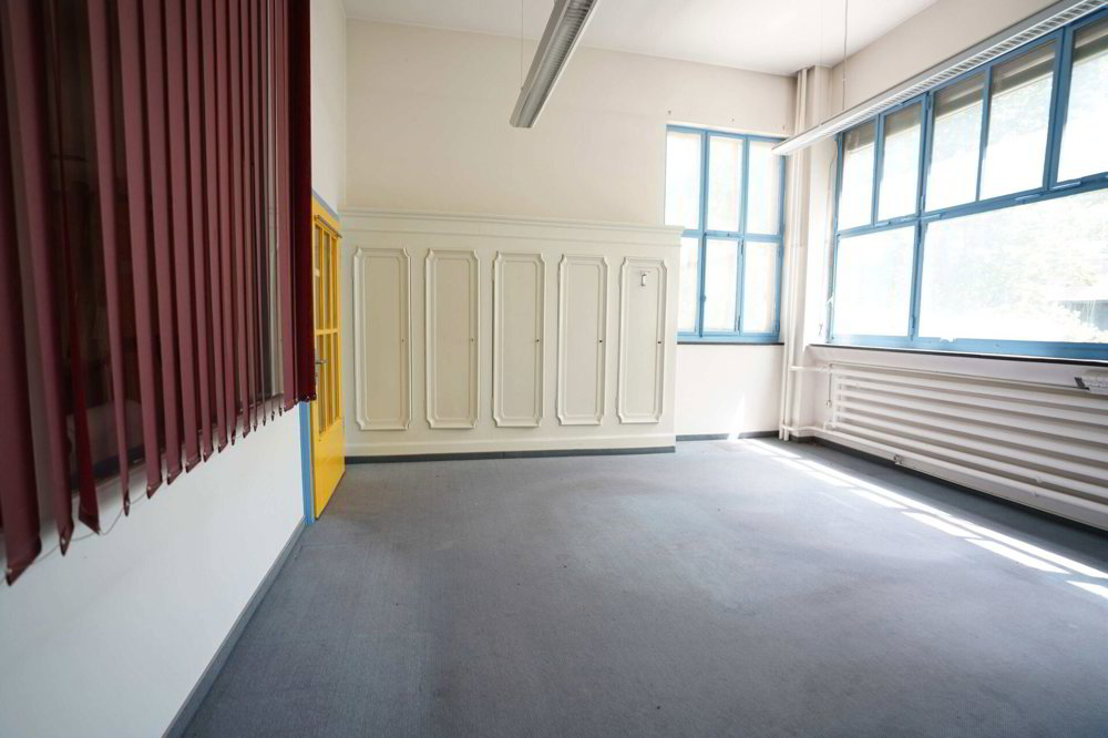 Ufficio & Commercio di null locali in affitto a Lichtensteig - immagine 1/7