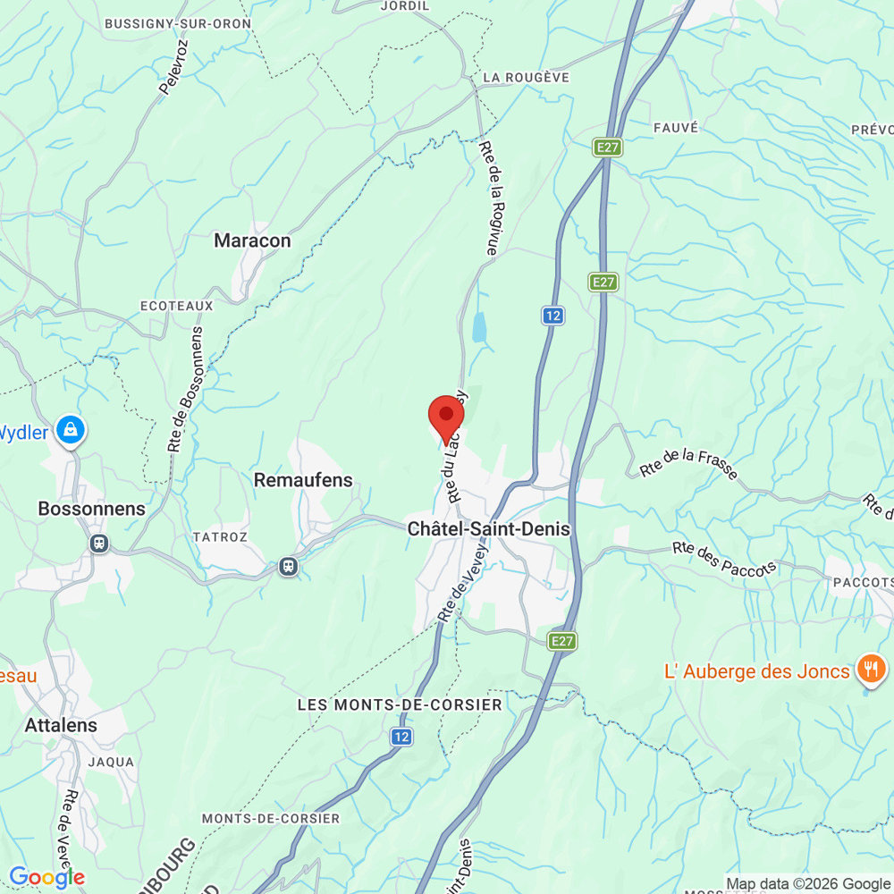 Appartamento di 4 locali in affitto a Châtel-St-Denis - immagine 1/10