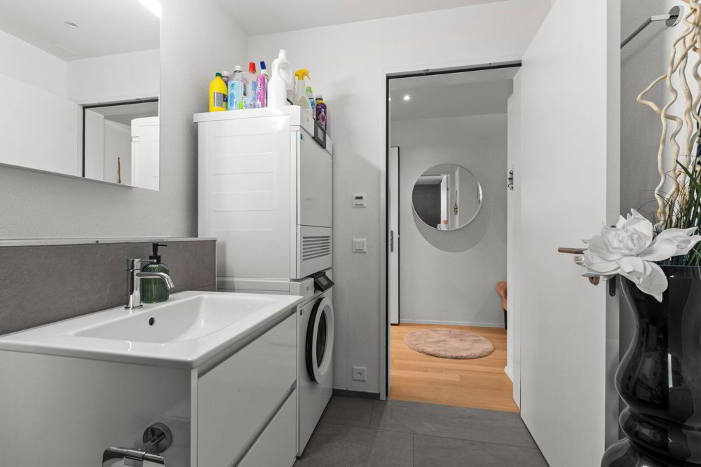 Appartement 4.5 pièces à acheter à Tübach - image 1/12