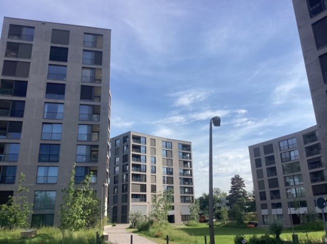 2 rooms Apartment for rent in Allschwil - image 1/1