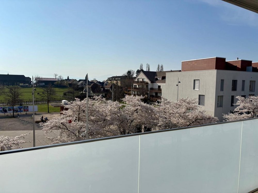 4 Zimmer Wohnung zu vermieten in Gland - Bild 1/11