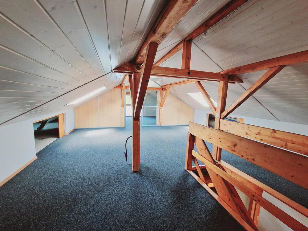null rooms Office & Commercial for rent in Vaulruz - image 1/13