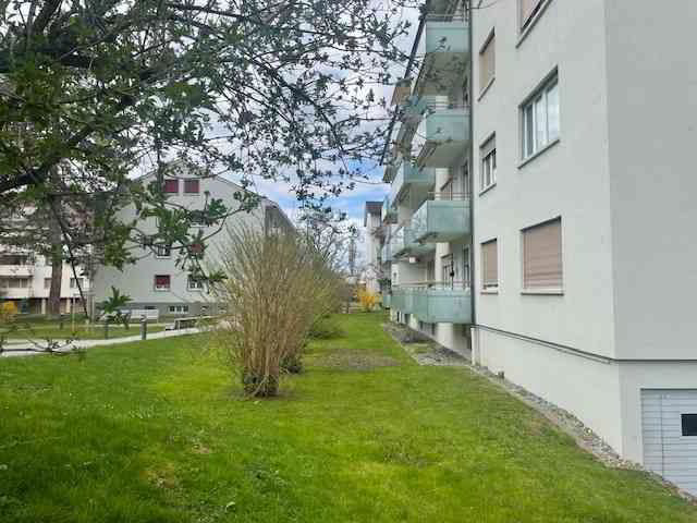 3 rooms Apartment for rent in Allschwil - image 1/13
