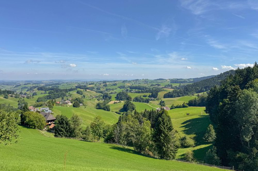 4 rooms House to buy in Wyssachen - image 1/16