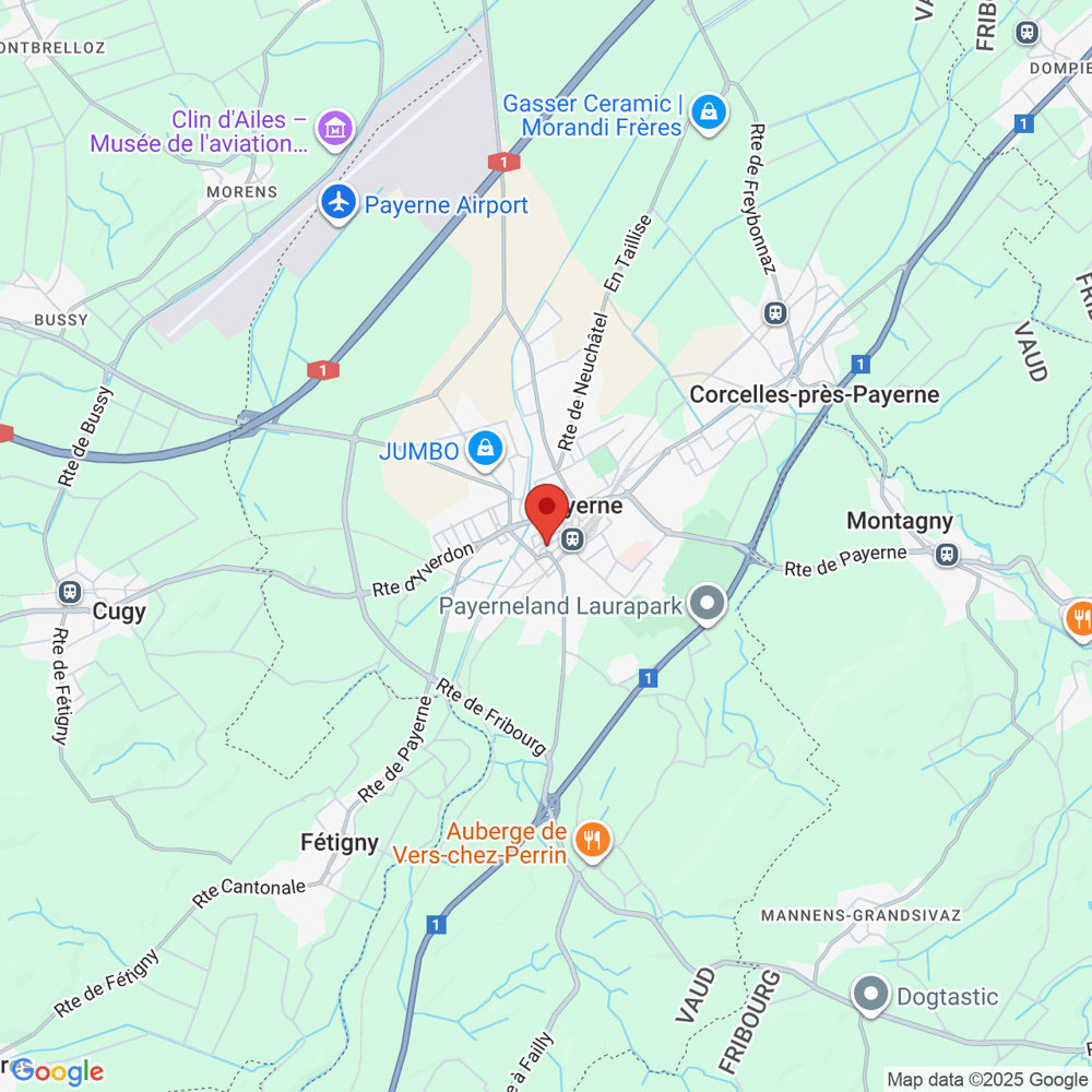 Appartamento di 3 locali in affitto a Payerne - immagine 1/5