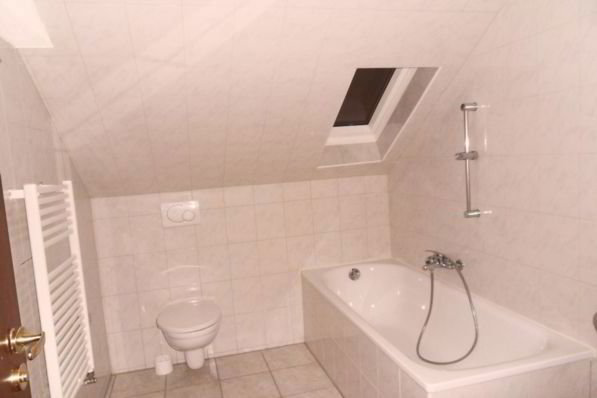 Appartamento di 1 locali in affitto a Schaffhouse - immagine 1/3