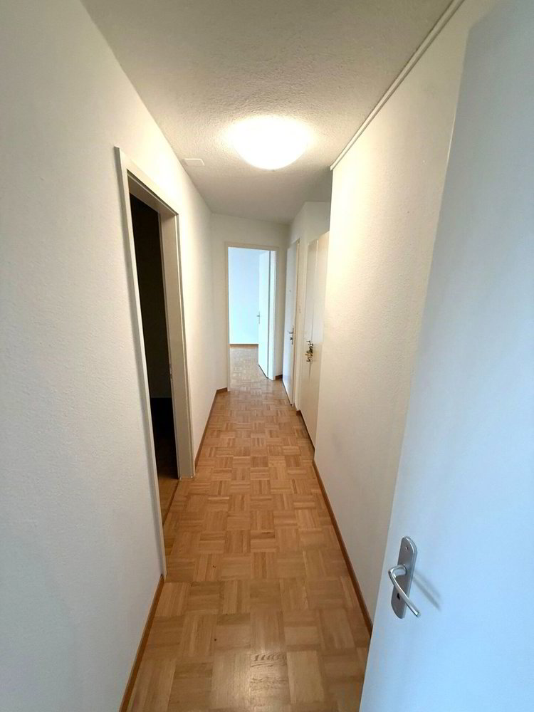 Appartamento di 3 locali in affitto a Dulliken - immagine 1/6