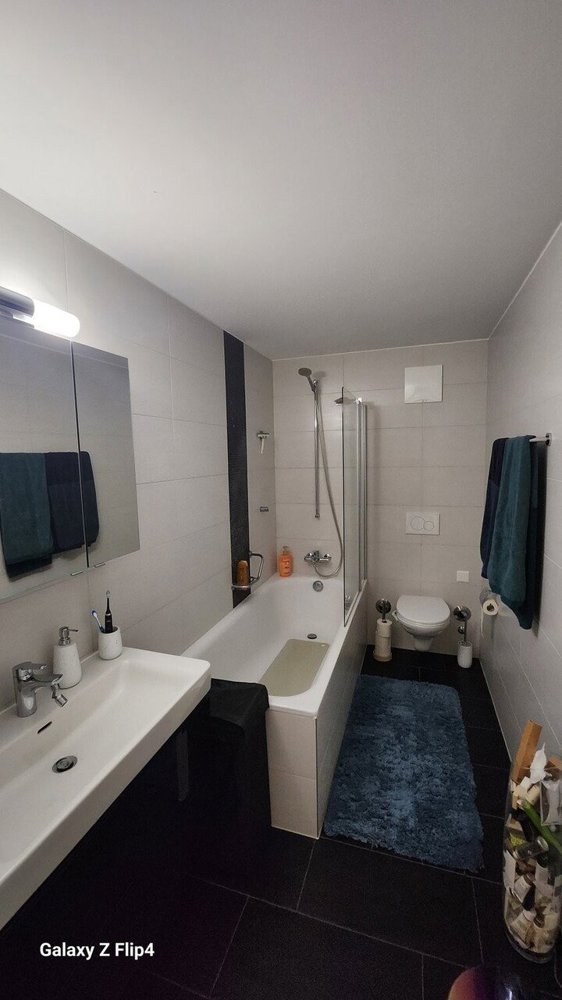 Appartamento di 2 locali in affitto a Villars-sur-Glâne - immagine 1/13