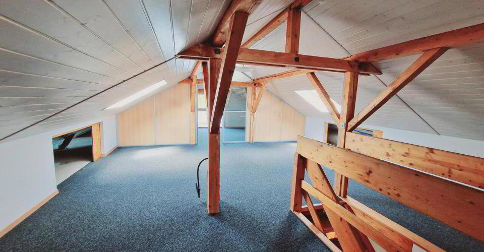 null rooms Office & Commercial for rent in Vaulruz - image 1/13