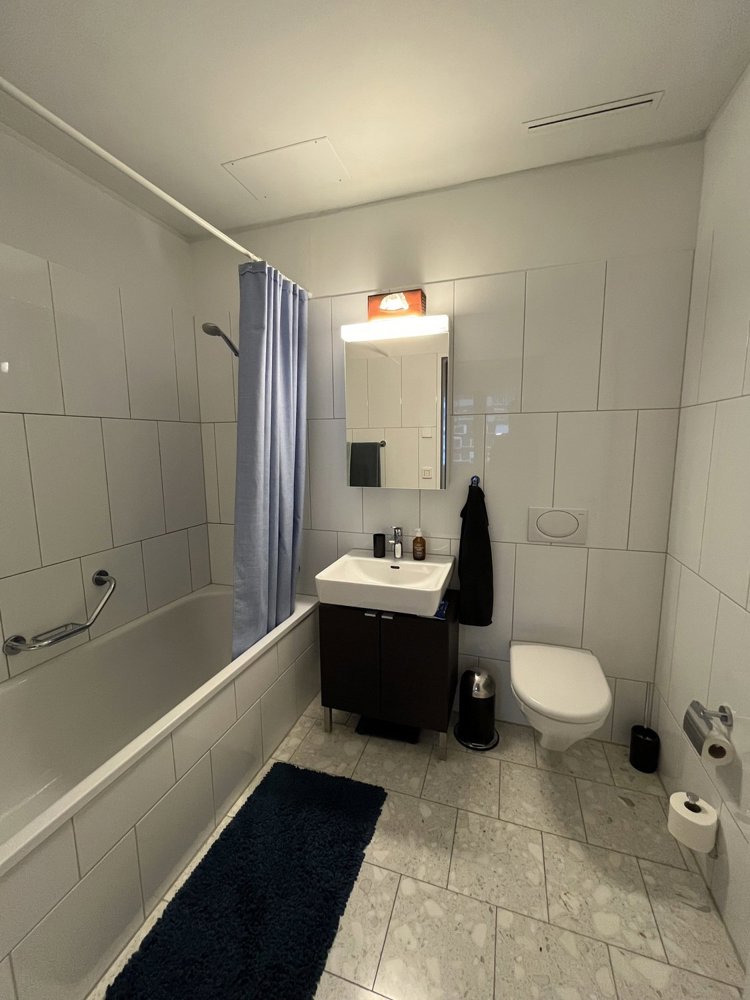 3 rooms Apartment for rent in Zürich - image 1/9