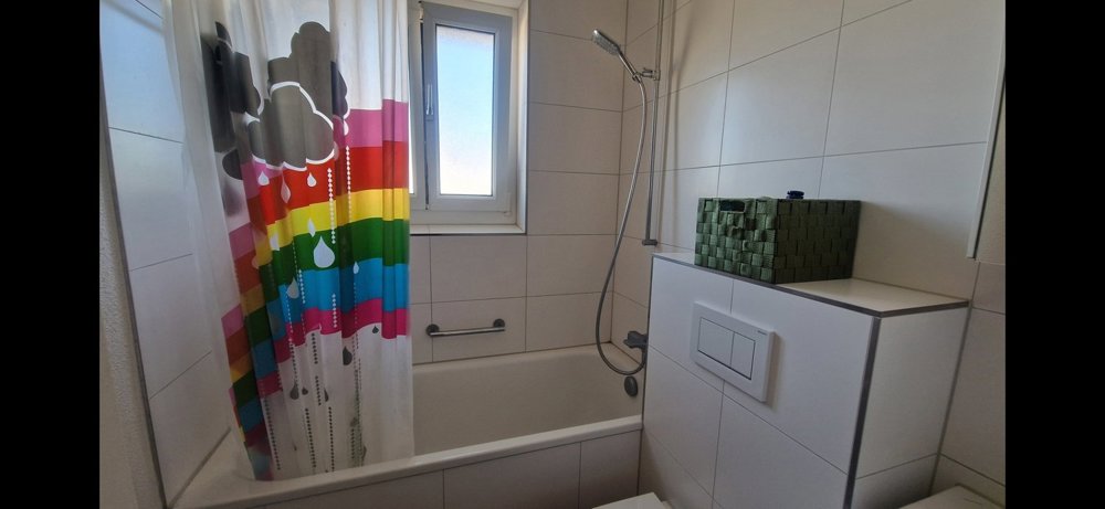 Appartamento di 3 locali in affitto a Urdorf - immagine 1/7