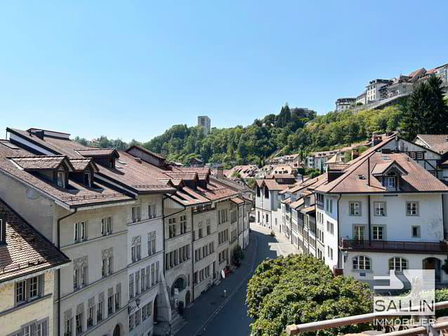 3.5 Zimmer Wohnung zu vermieten in Fribourg - Bild 1/10