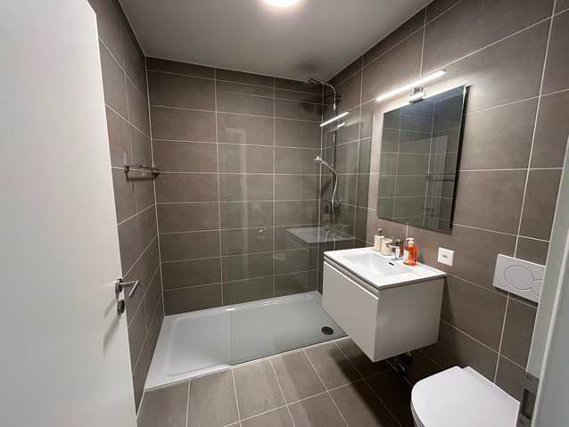 1 Zimmer Wohnung zu vermieten in Chavannes-près-Renens - Bild 1/4