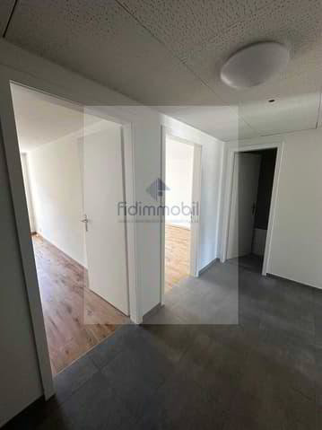 APPARTEMENT ENTIÈREMENT RÉNOVÉ DANS QUARTIER CALME - Ansicht 2