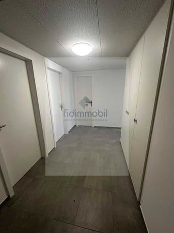 APPARTEMENT ENTIÈREMENT RÉNOVÉ DANS QUARTIER CALME - Ansicht 3