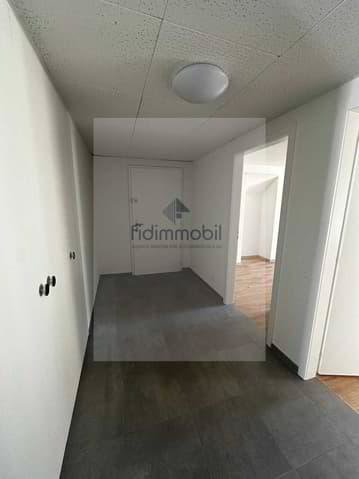 APPARTEMENT ENTIÈREMENT RÉNOVÉ DANS QUARTIER CALME - Ansicht 4